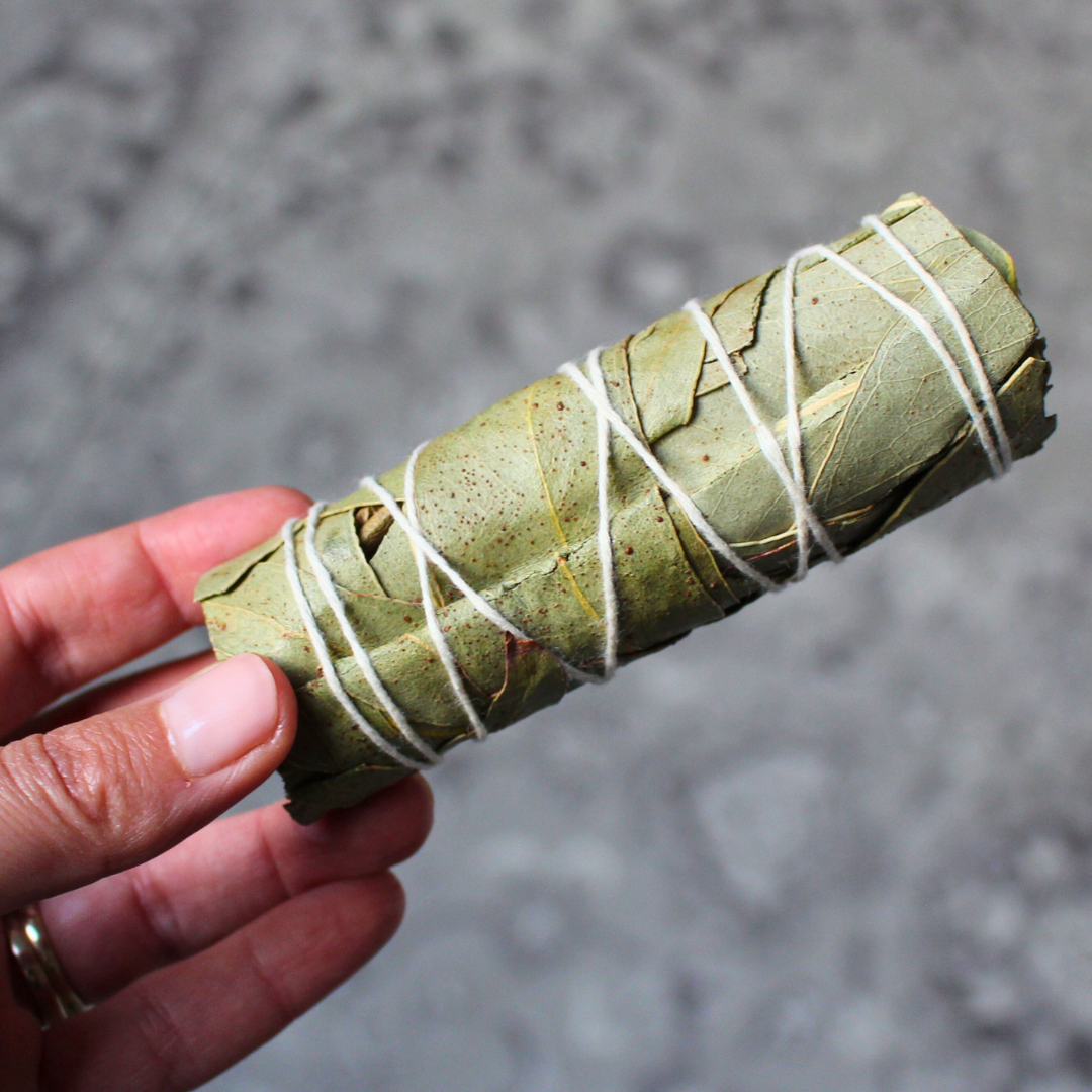 Le smudge d’eucalyptus est un bâton de fumigation traditionnel utilisé pour purifier les énergies, clarifier l’esprit et apporter une atmosphère fraîche et revitalisante.
Originaire des États-Unis, il est confectionné à partir de feuilles d’eucalyptus séchées, soigneusement liées à la main.