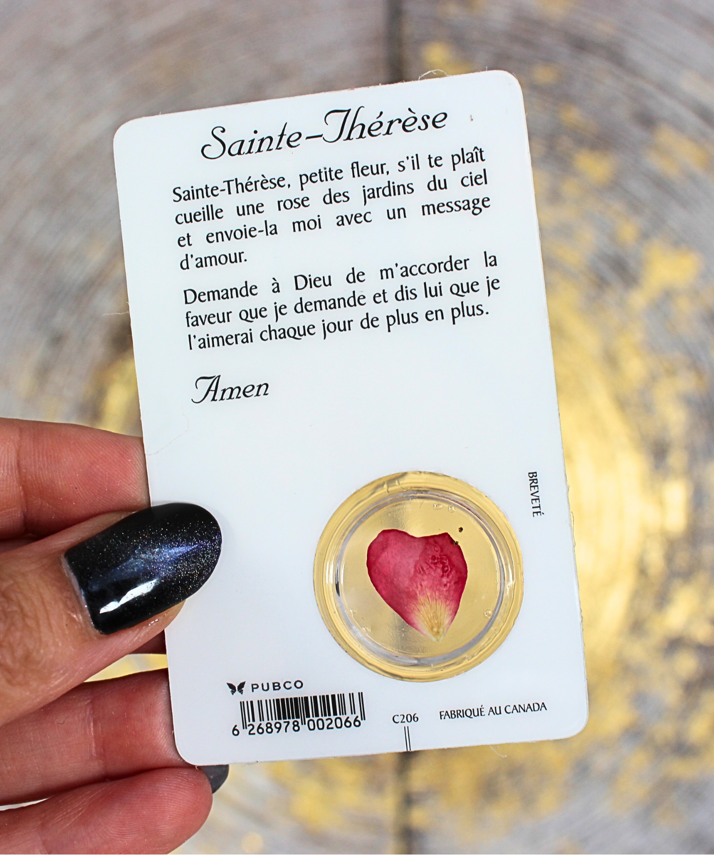 Cette carte de prière plastifiée est dédiée à Sainte Thérèse de Lisieux, aussi connue sous le nom de "la petite Thérèse" ou "la petite fleur de Jésus". Sur le recto, une image douce et inspirante de la sainte, accompagnée d’un véritable pétale de rose inséré dans une fenêtre transparente. Au verso, une prière à Sainte Thérèse, à réciter pour lui confier ses intentions et recevoir ses grâces.