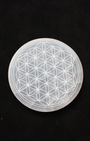 Disque en sélénite gravé de la Fleur de Vie, un outil énergétique puissant conçu pour harmoniser et recharger vos pierres, pendules et objets spirituels.
La sélénite, reconnue pour sa vibration élevée et sa capacité d’auto-purification, diffuse une énergie douce, apaisante et lumineuse.
Le symbole sacré de la Fleur de Vie, gravé amplifie les propriétés de la sélénite, favorisant l’élévation spirituelle, l’harmonie et l’équilibre énergétique.
Parfait pour votre espace sacré, votre autel ou vos rituels.