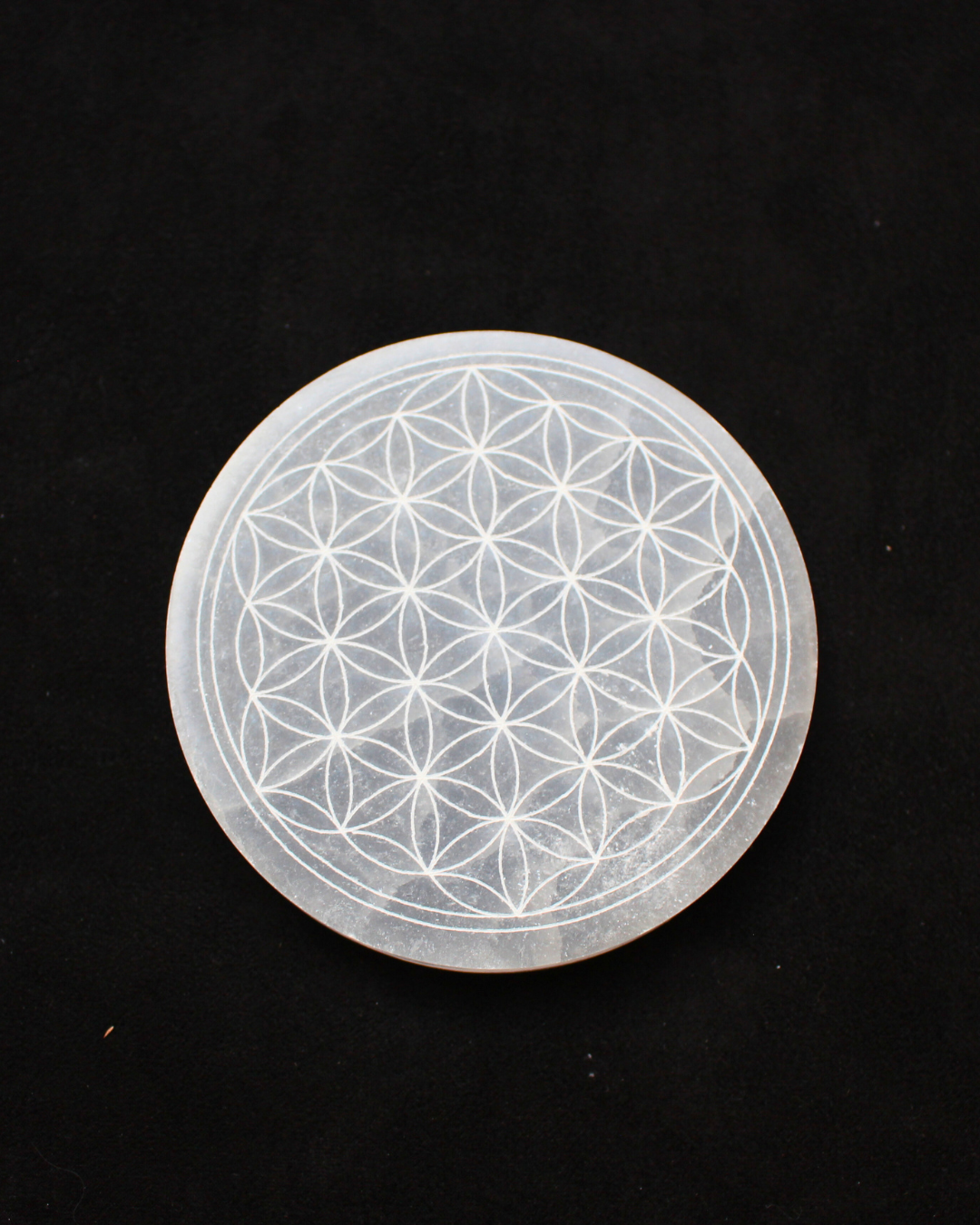 Disque en sélénite gravé de la Fleur de Vie, un outil énergétique puissant conçu pour harmoniser et recharger vos pierres, pendules et objets spirituels.
La sélénite, reconnue pour sa vibration élevée et sa capacité d’auto-purification, diffuse une énergie douce, apaisante et lumineuse.
Le symbole sacré de la Fleur de Vie, gravé amplifie les propriétés de la sélénite, favorisant l’élévation spirituelle, l’harmonie et l’équilibre énergétique.
Parfait pour votre espace sacré, votre autel ou vos rituels.