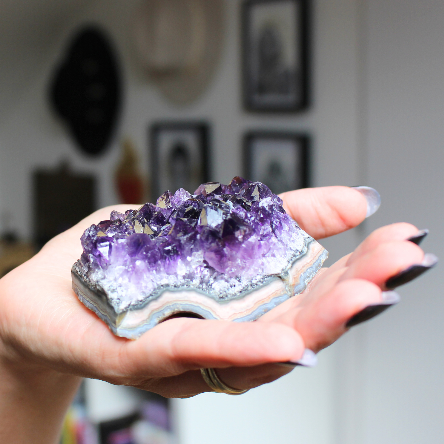 Cette magnifique druse d’améthyste naturelle de 229 grammes provient des mines familiales d’Uruguay, réputées pour offrir les cristaux les plus intenses et les plus purs du monde. Sélectionnée pour sa qualité exceptionnelle AAA, cette pièce présente un violet profond. Non traitée, 100 % naturelle, elle a été extraite dans des conditions respectueuses de l’humain et de l’environnement.