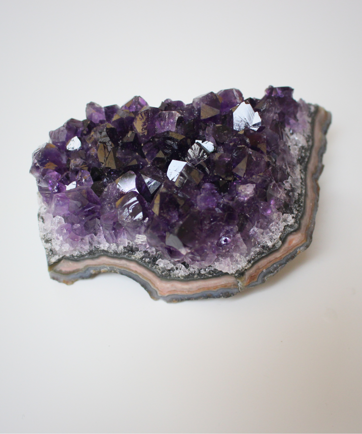 Cette magnifique druse d’améthyste naturelle de 229 grammes provient des mines familiales d’Uruguay, réputées pour offrir les cristaux les plus intenses et les plus purs du monde. Sélectionnée pour sa qualité exceptionnelle AAA, cette pièce présente un violet profond. Non traitée, 100 % naturelle, elle a été extraite dans des conditions respectueuses de l’humain et de l’environnement.