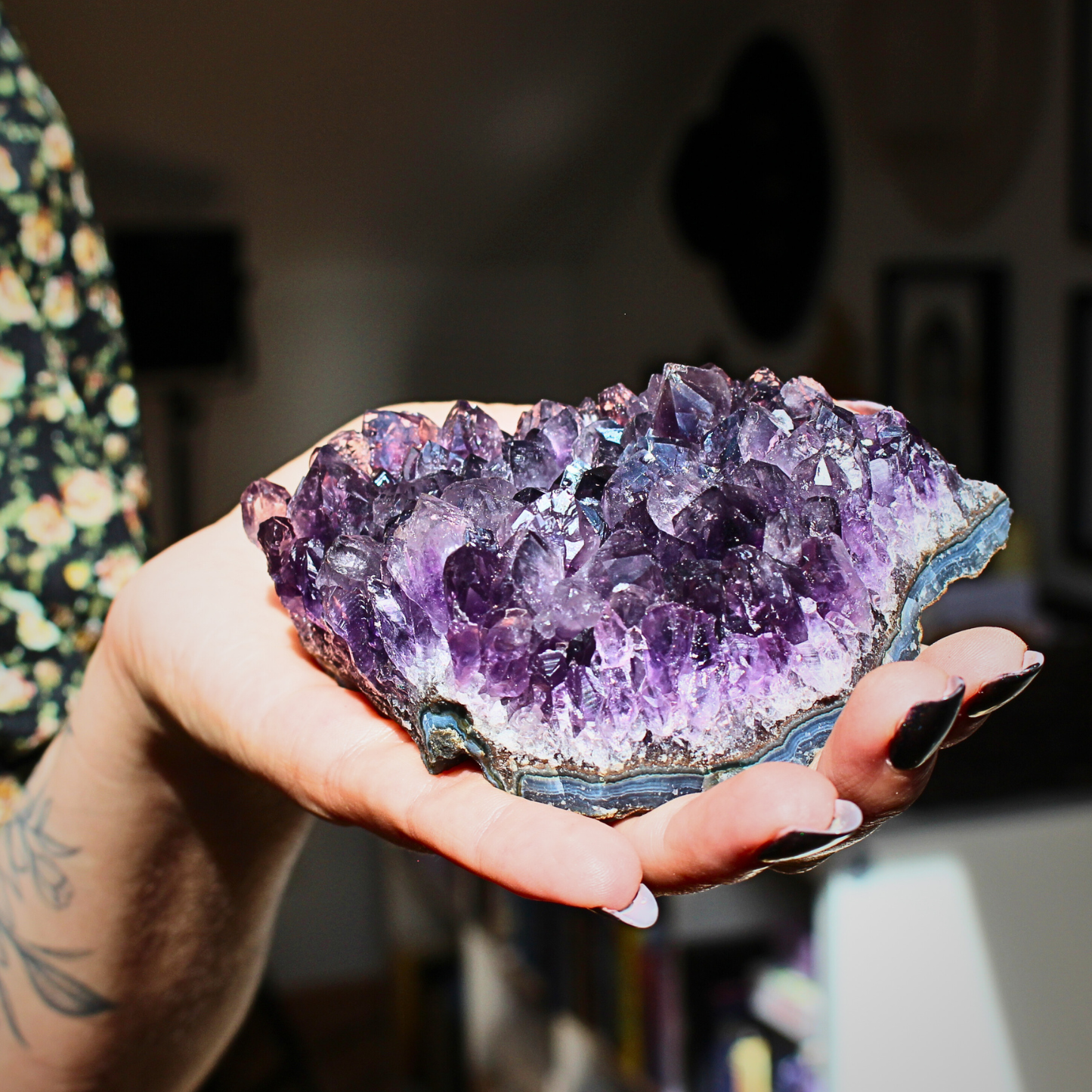 Cette magnifique druse d’améthyste naturelle de 428&nbsp;grammes provient des mines familiales d’Uruguay, réputées pour offrir les cristaux les plus intenses et les plus purs du monde. Sélectionnée pour sa qualité exceptionnelle AAA, cette pièce présente un violet profond. Non traitée, 100 % naturelle, elle a été extraite dans des conditions respectueuses de l’humain et de l’environnement. 
