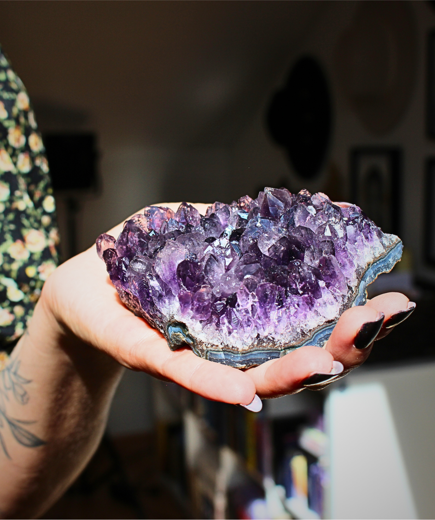 Cette magnifique druse d’améthyste naturelle de 428&nbsp;grammes provient des mines familiales d’Uruguay, réputées pour offrir les cristaux les plus intenses et les plus purs du monde. Sélectionnée pour sa qualité exceptionnelle AAA, cette pièce présente un violet profond. Non traitée, 100 % naturelle, elle a été extraite dans des conditions respectueuses de l’humain et de l’environnement. 
