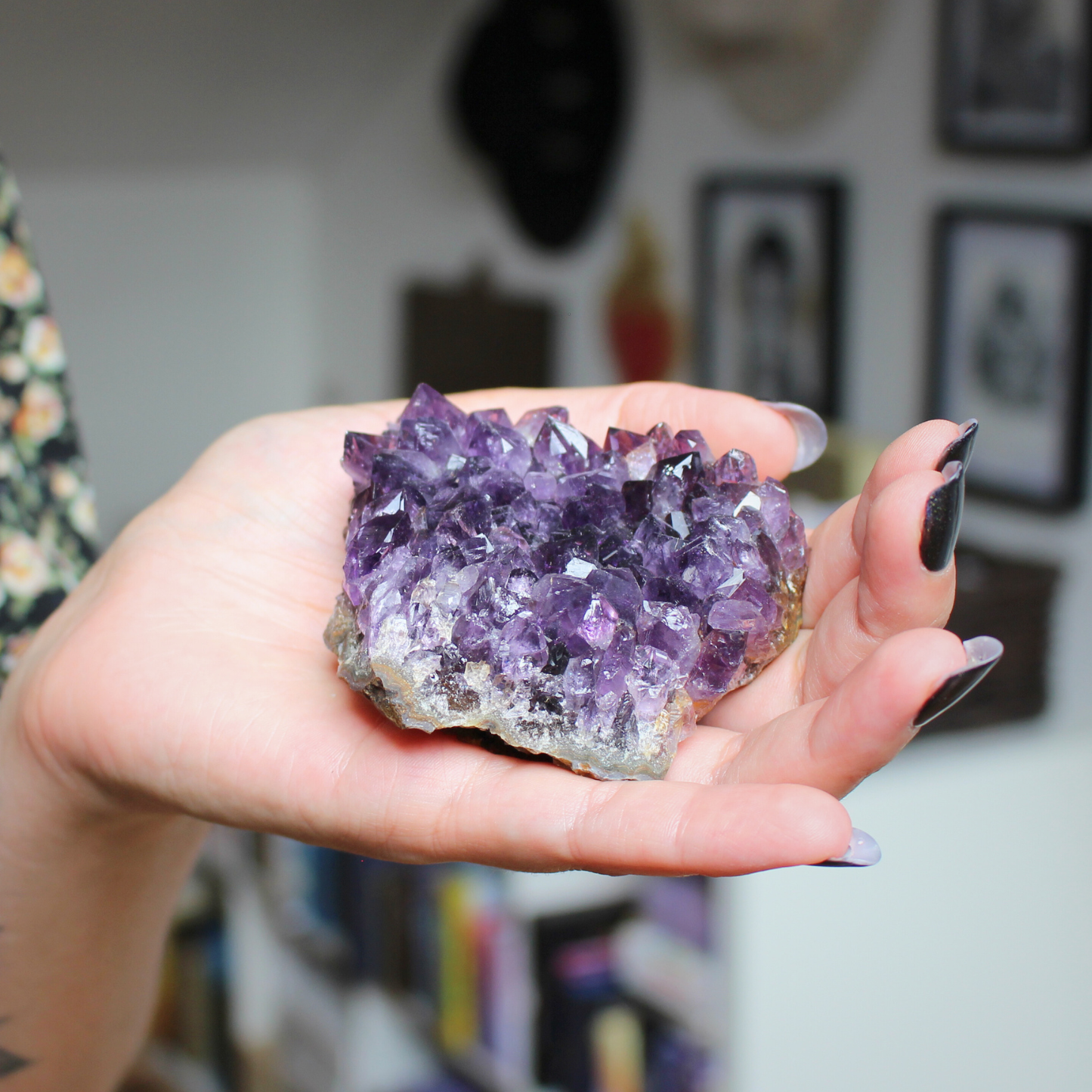Cette magnifique druse d’améthyste naturelle de 197 grammes provient des mines familiales d’Uruguay, réputées pour offrir les cristaux les plus intenses et les plus purs du monde. Sélectionnée pour sa qualité exceptionnelle AAA, cette pièce présente un violet profond. Non traitée, 100 % naturelle, elle a été extraite dans des conditions respectueuses de l’humain et de l’environnement. Elle convient aussi bien à la lithothérapie qu’à la méditation ou encore à la décoration et la diffusion de ses énergies dan