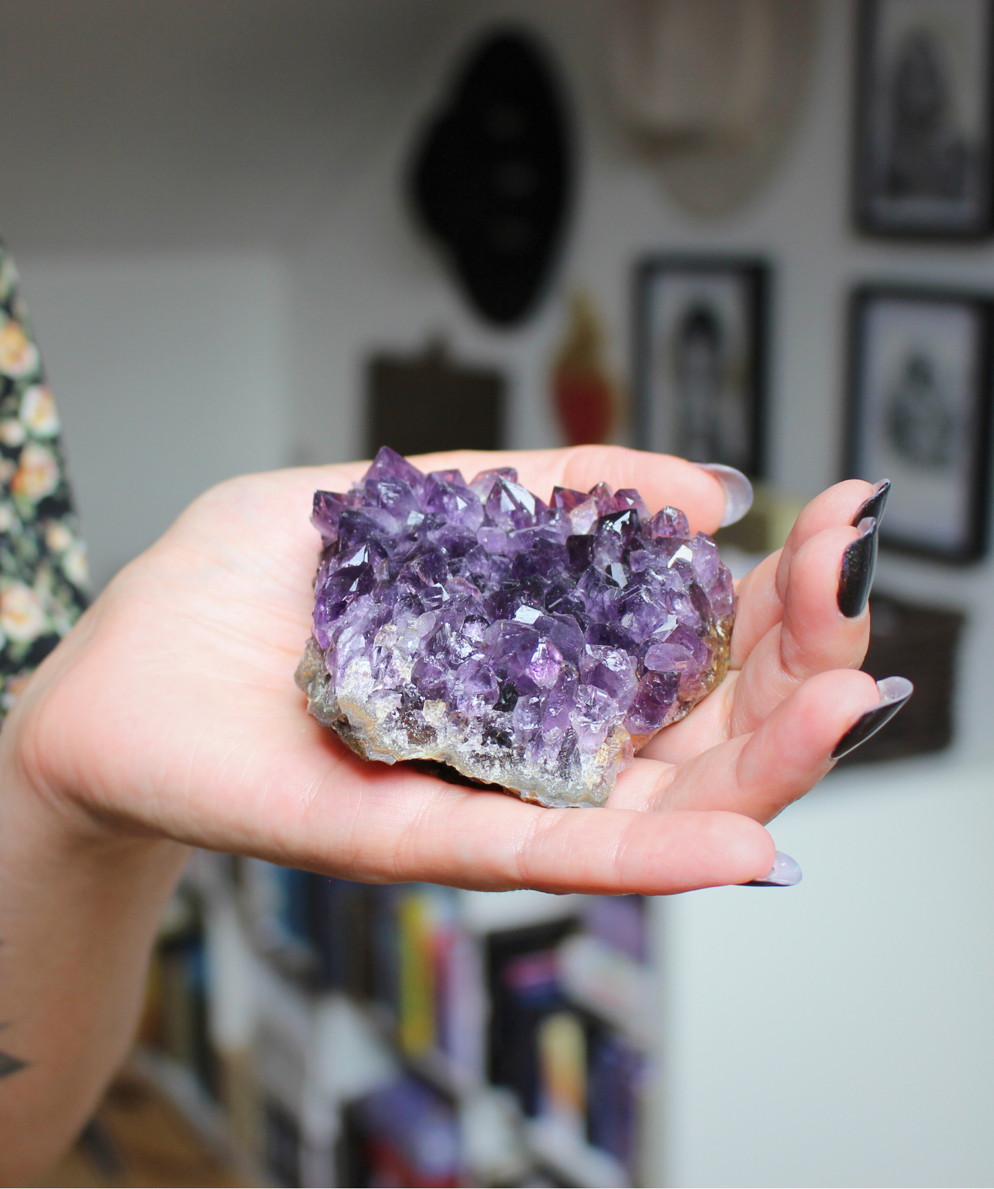 Cette magnifique druse d’améthyste naturelle de 197 grammes provient des mines familiales d’Uruguay, réputées pour offrir les cristaux les plus intenses et les plus purs du monde. Sélectionnée pour sa qualité exceptionnelle AAA, cette pièce présente un violet profond. Non traitée, 100 % naturelle, elle a été extraite dans des conditions respectueuses de l’humain et de l’environnement. Elle convient aussi bien à la lithothérapie qu’à la méditation ou encore à la décoration et la diffusion de ses énergies dan