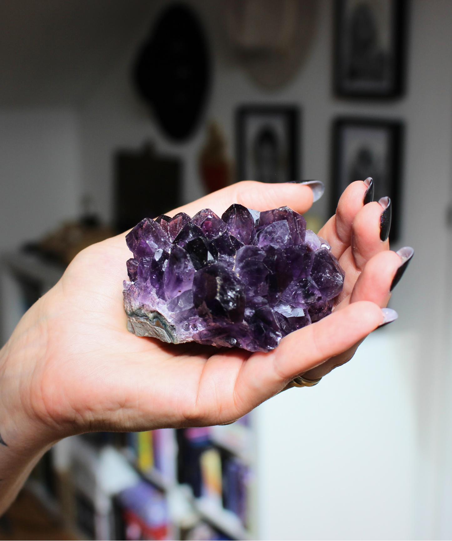 Cette magnifique druse d’améthyste naturelle de 232 grammes provient des mines familiales d’Uruguay, réputées pour offrir les cristaux les plus intenses et les plus purs du monde. Sélectionnée pour sa qualité exceptionnelle AAA, cette pièce présente un violet profond. Non traitée, 100 % naturelle, elle a été extraite dans des conditions respectueuses de l’humain et de l’environnement. Elle convient aussi bien à la lithothérapie qu’à la méditation ou encore à la décoration et la diffusion de ses énergies dan