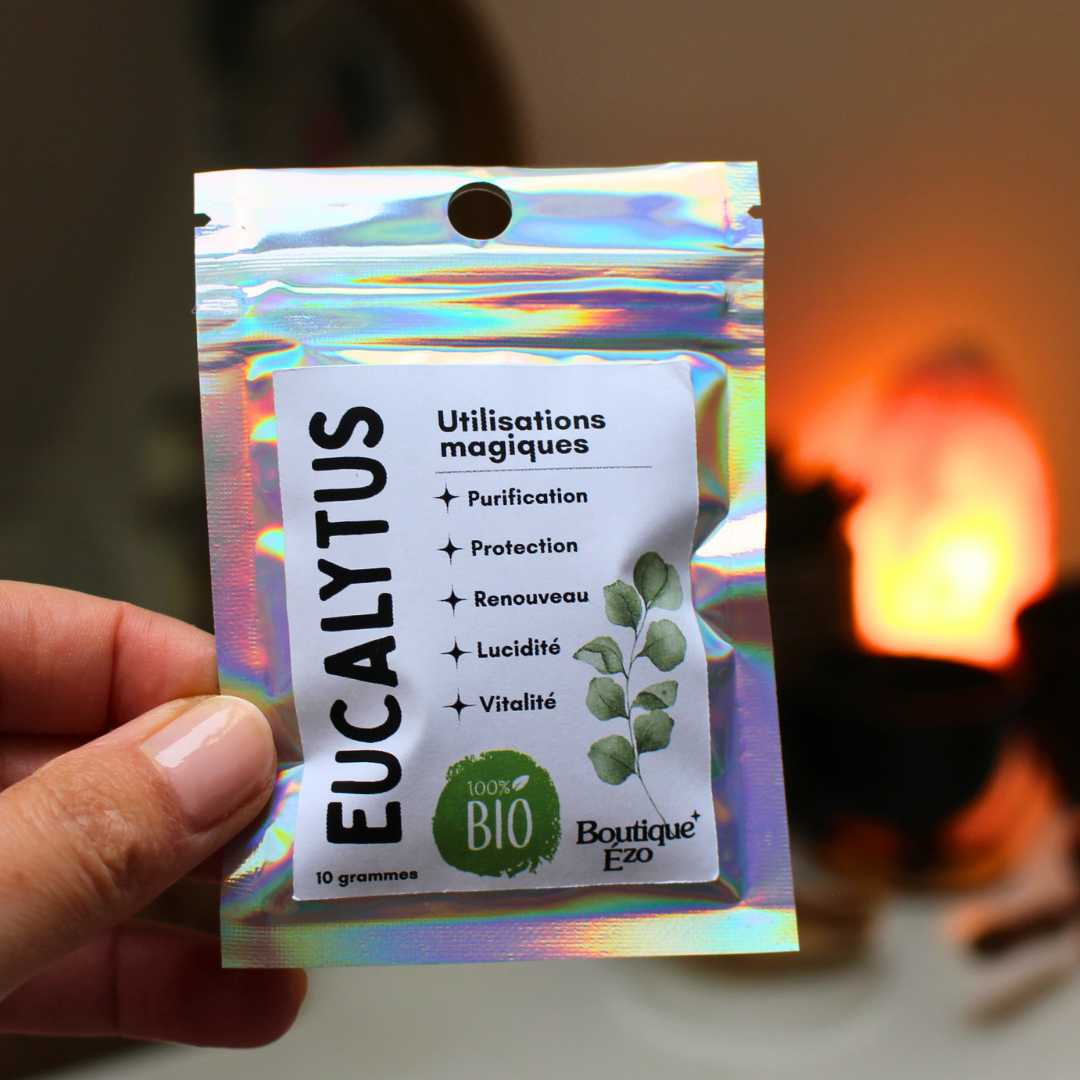 Feuilles d’eucalyptus bio séchées, 10g / 20g / 30g. Plante purifiante et revitalisante. Idéal rituels de nettoyage énergétique, protection et clarté mentale.