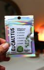Feuilles d’eucalyptus bio séchées, 10g / 20g / 30g. Plante purifiante et revitalisante. Idéal rituels de nettoyage énergétique, protection et clarté mentale.
