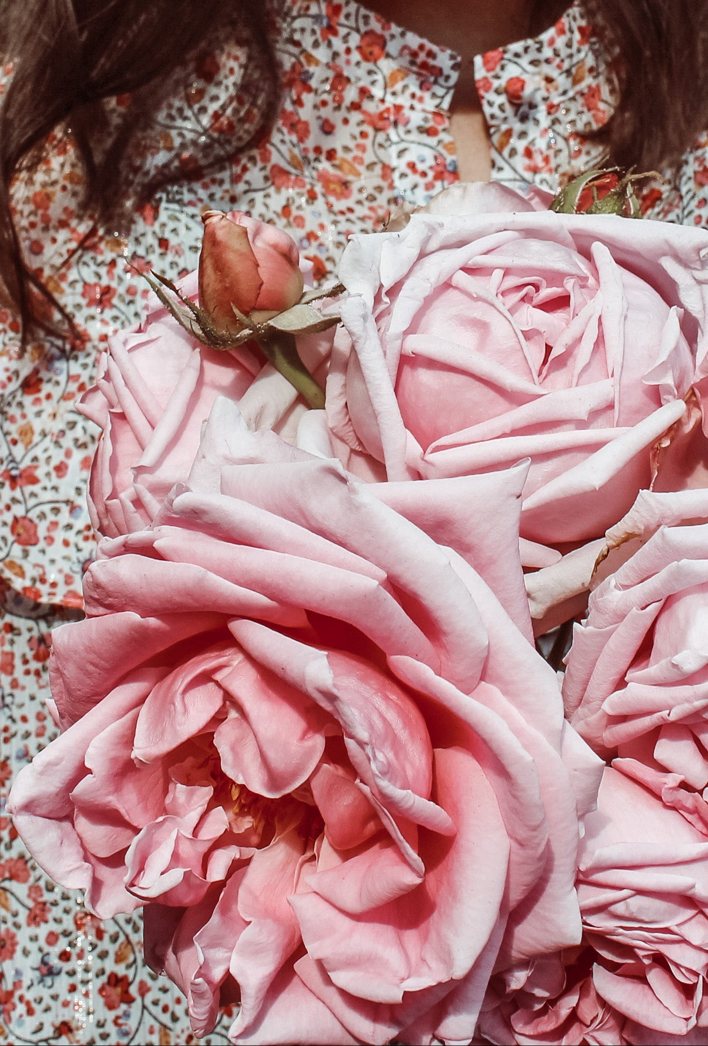 Cette huile est une préparation réalisée à partir de roses provenant d’un rosier issu de la maison d’enfance de Thérèse de Lisieux.
