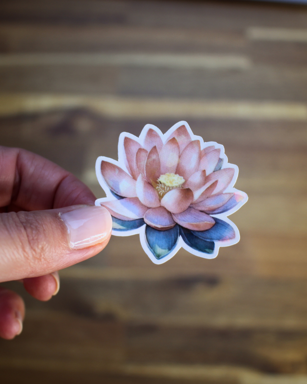 Ce lot de 13 stickers holographiques illustrés autour de l’univers du yoga est né d’une belle collaboration entre Boutique Ezo et Hinde yoga.
