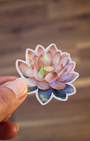 Ce lot de 13 stickers holographiques illustrés autour de l’univers du yoga est né d’une belle collaboration entre Boutique Ezo et Hinde yoga.