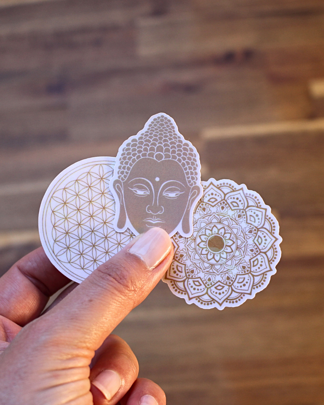 Ce lot de 13 stickers holographiques illustrés autour de l’univers du yoga est né d’une belle collaboration entre Boutique Ezo et Hinde yoga.

