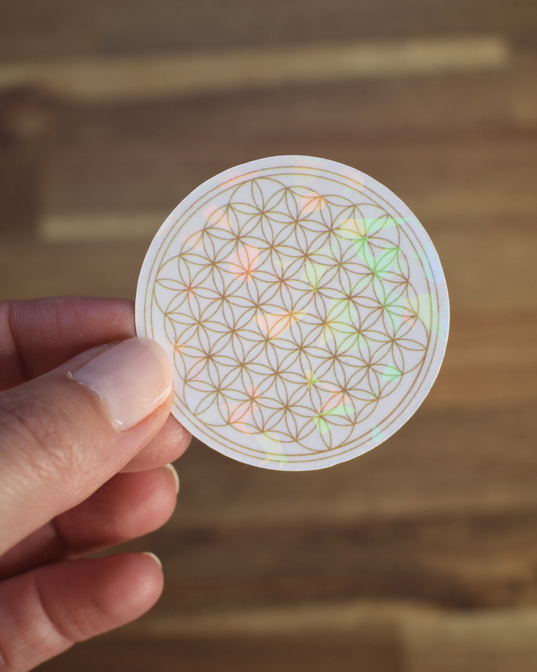 Ce lot de 13 stickers holographiques illustrés autour de l’univers du yoga est né d’une belle collaboration entre Boutique Ezo et Hinde yoga.
