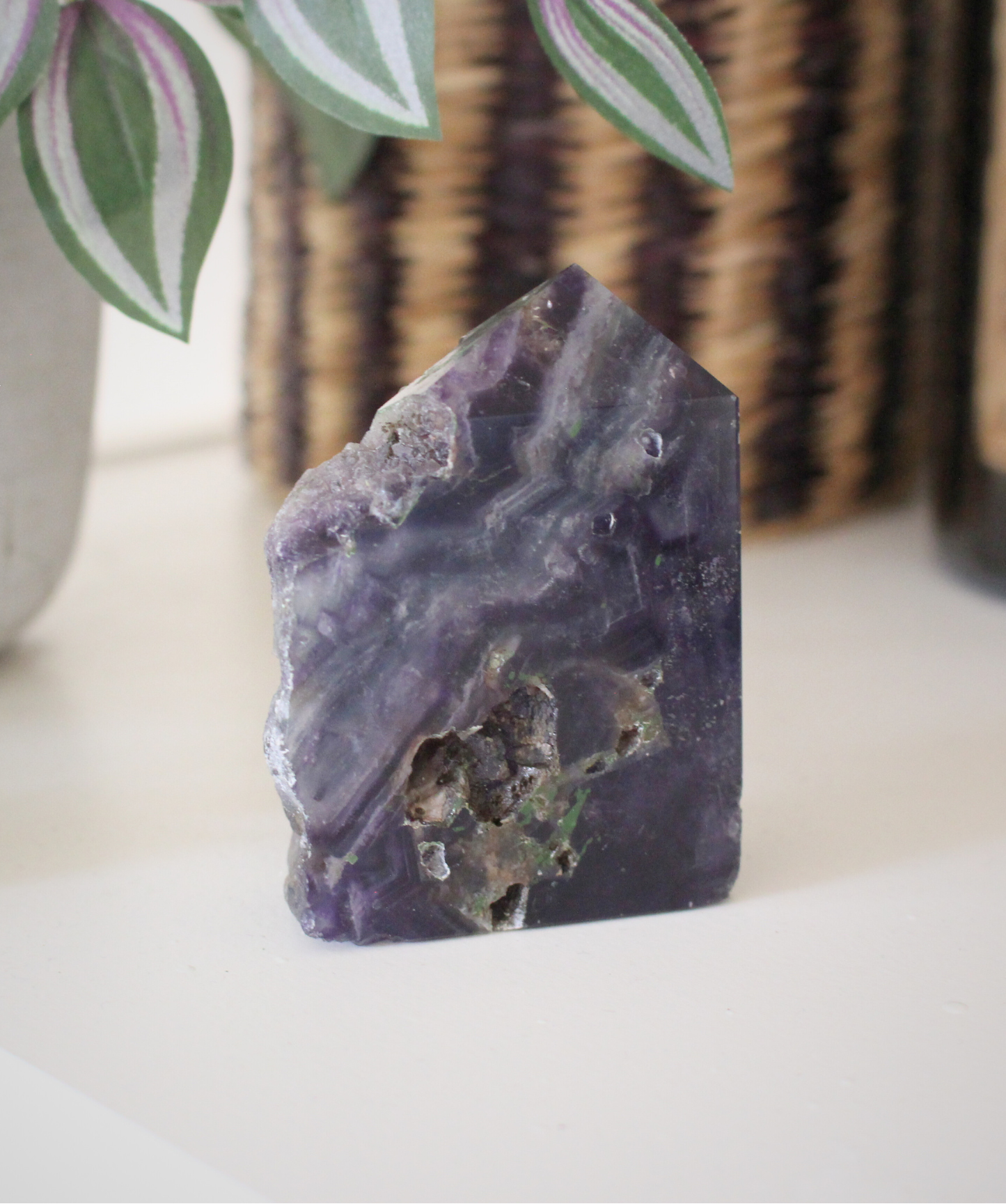 Cette tranche de  fluorine semi-polie multicolore naturelle d'excellente qualité AA+, séduit par ses teintes envoûtantes allant du violet au vert . Symbole  de clarté mentale, cet pièce en fluorine est parfaite pour apaiser l’esprit ou accompagner la concentration