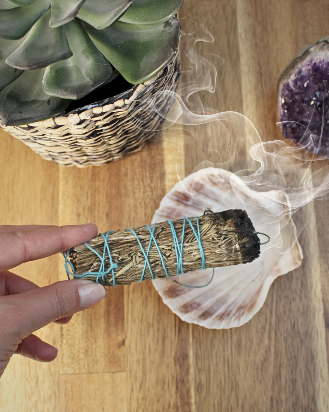Coquille Saint-Jacques / Purification Protection & Rechargement